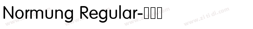 Normung Regular字体转换